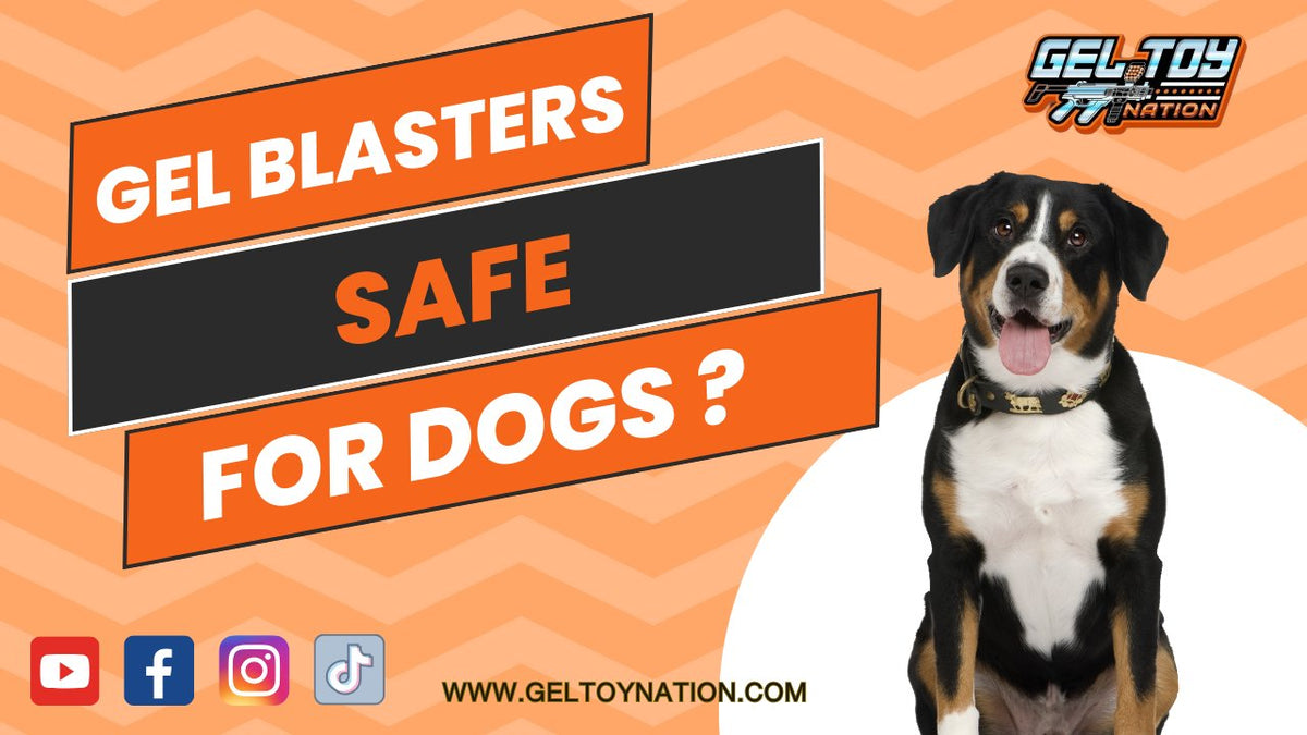 Are Gel Blasters Safe for Dogs? – Gel Toy Nation